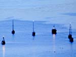 Boats moored in the bay