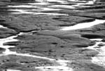 Harbour Low Tide