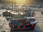 Harbour Low Tide